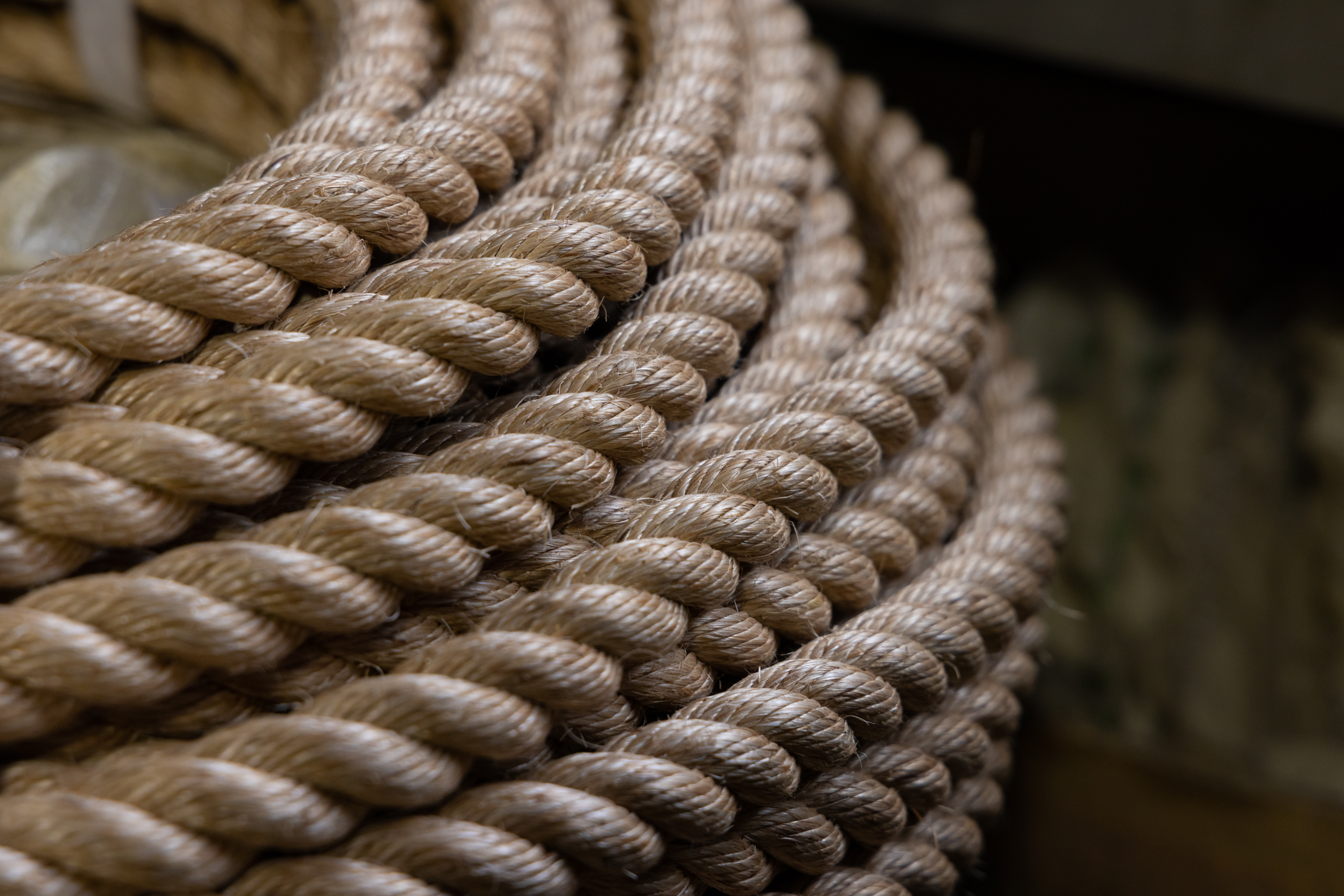 ロープのイメージ